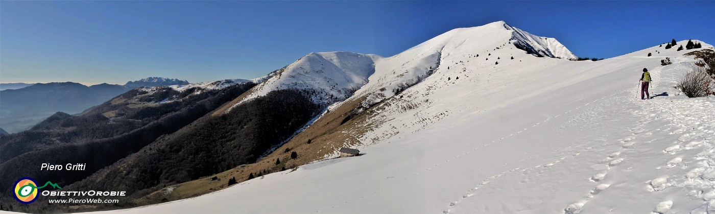 19 La lunga cresta innevata da salire del Pizzo Baciamorti.jpg